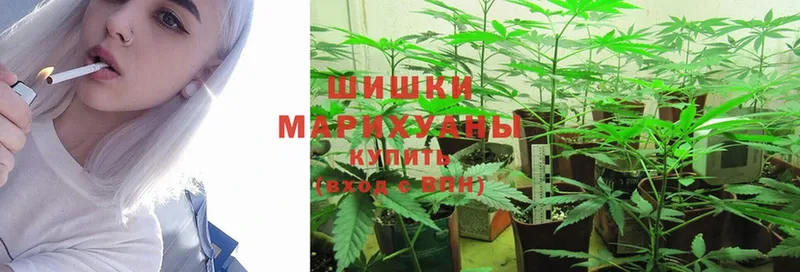 где найти   Ершов  Марихуана SATIVA & INDICA 